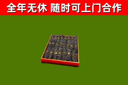 新兴回收海参